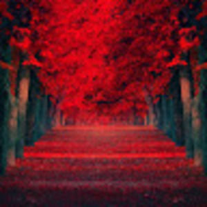 Meet your Posher, Nat